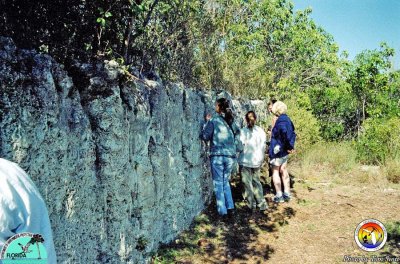 Key Largo Ls Windley Key State Park2.jpg