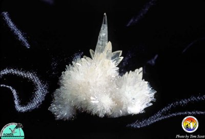 Calcite crystals Clear.jpg