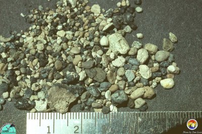 Phosphate gravel Polk Co.jpg