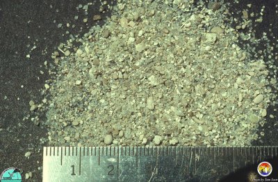 Phosphate sand Polk Co.jpg
