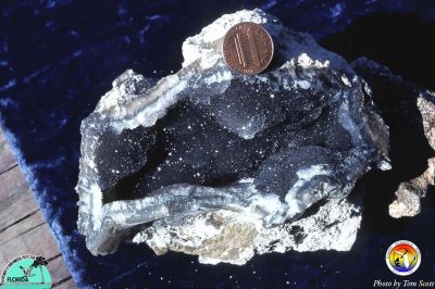 Quartz crystals lining void in Suwannee Ls.jpg