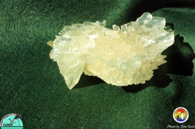 calcite water level overgrowth on stalactite3.jpg