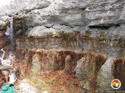 Rucks Pit outcrop.JPG