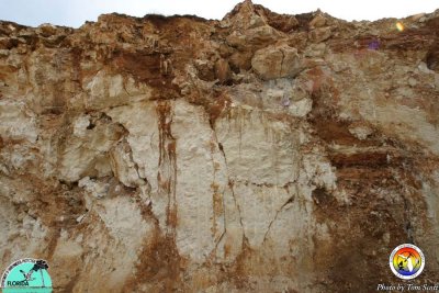 Grubbs Pit-Eocene Ocala karst.JPG