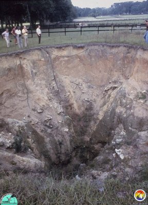 Ocala Horse Farm Sink 1984.jpg