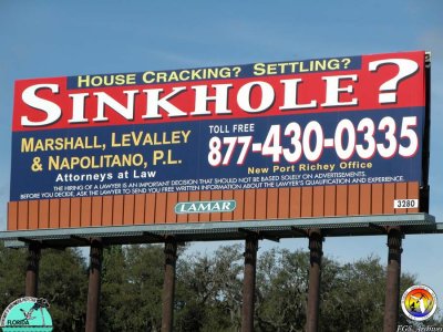 Sinkhole Billboard.jpg