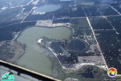 Sinkholes from the air 3.jpg