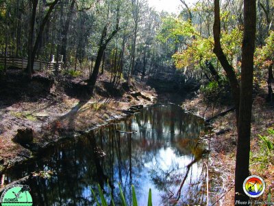 Falmouth Spring Karst Window.jpg