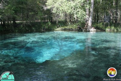 Ginnie Springs.jpg