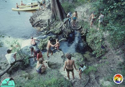 Spring on Suwannee Rv.jpg