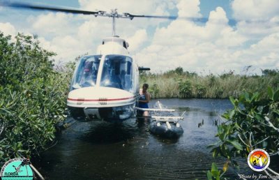 Helicopter in Everglades.jpg