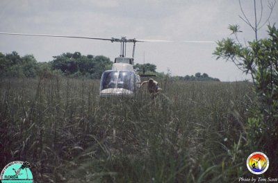 Helicopter in Everglades2.jpg