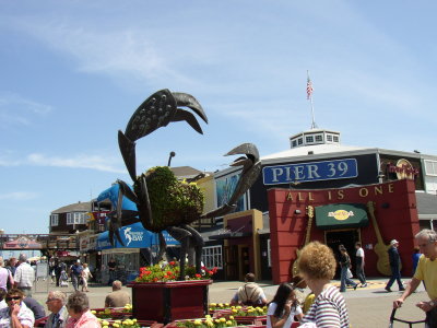 Fisherman's Wharf Crab