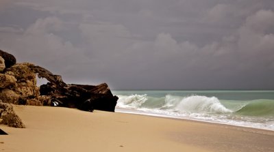 Beach Waves
