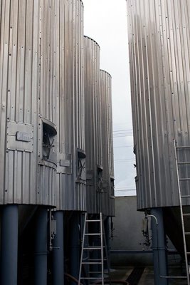 Caybrew Brewery Fermentation Tanks