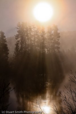 Foggy Morn on the Payette River-3345