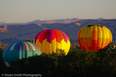 Spirit of Boise Balloon Festival August 2011-2763