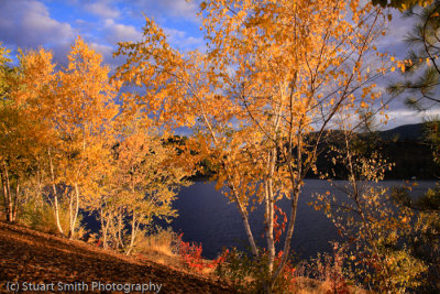 Lake Coeur d Alene October 2011-4458.jpg