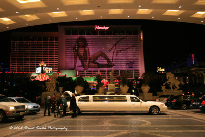 Common Sight in Las Vegas 3595