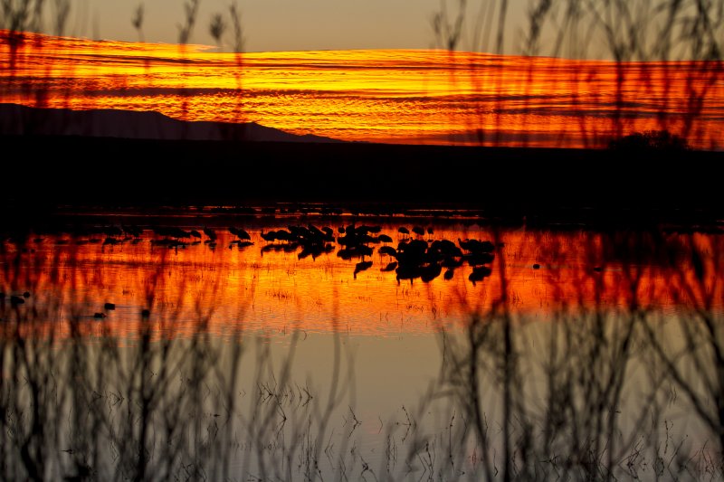Sunrise-111201-063911-92.jpg