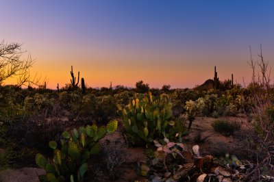 Sonoran desert sunset 4.jpg