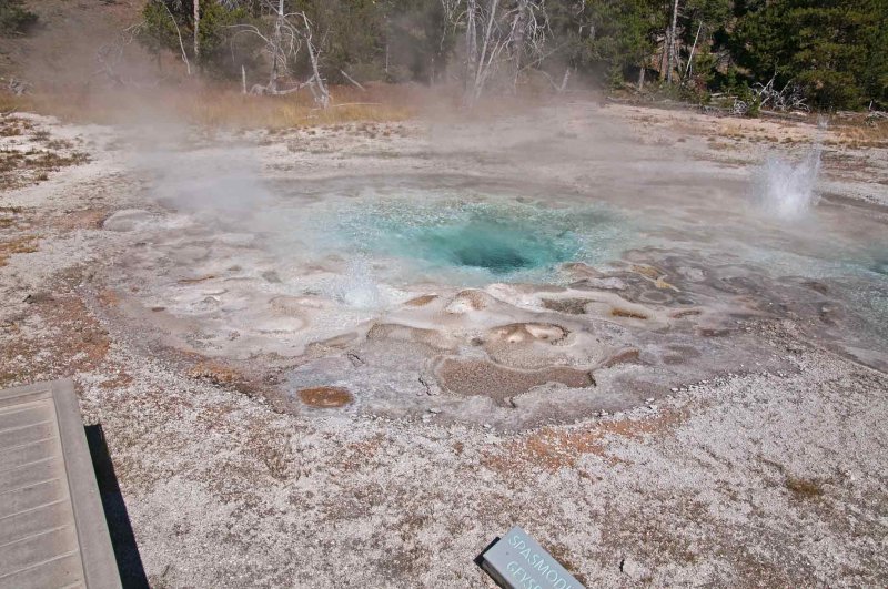 Spasmodic Geyser