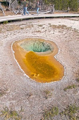 Belgian Spring - Upper Geyser Basin, YNP