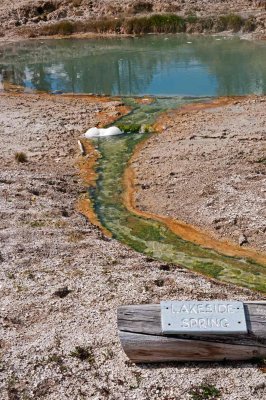 Lakeside Spring - West Thumb Geyser Basin, YNP