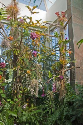 Daniel Stowe Botanical Garden & Orchid Conservancy