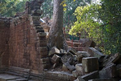 Ta Prohm Temple (4)