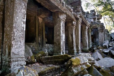 Ta Prohm Temple (10)