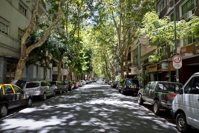 Tree Lined Streets (1)