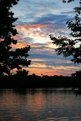 IMG_1000c.jpg