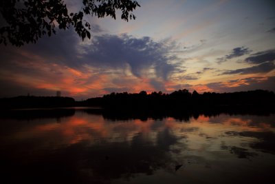 IMG_1125c.jpg