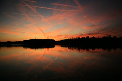 IMG_1483c.jpg