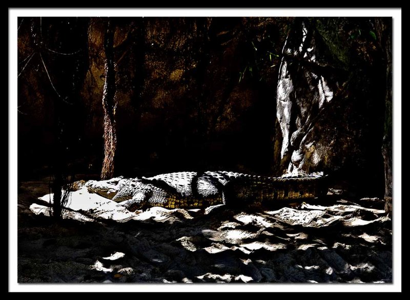  let sleeping crocs lie...
