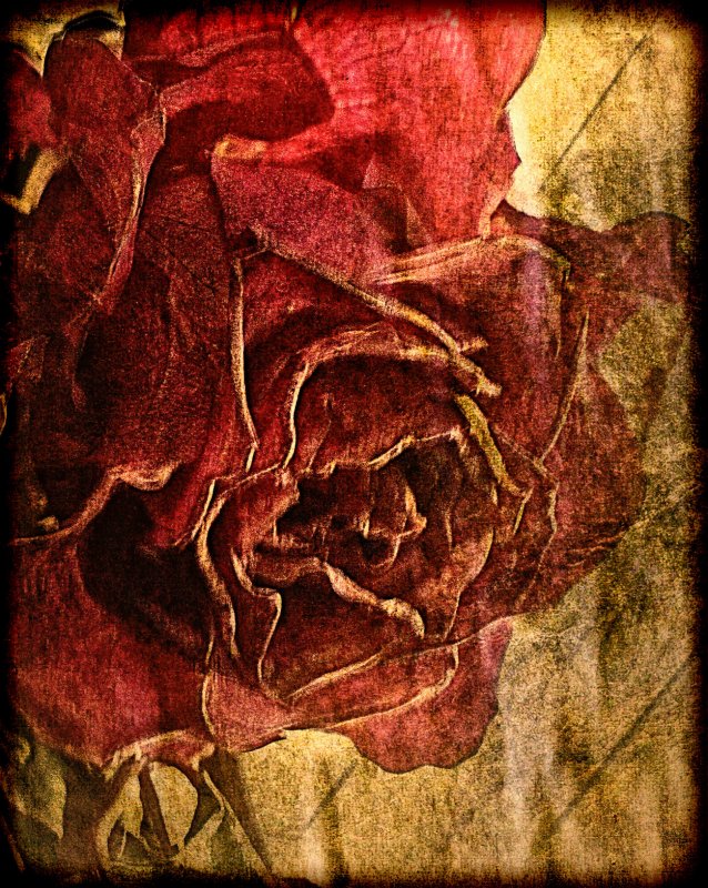 textured faded red roses...
