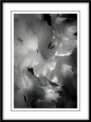 g4/61/817561/3/138262081.epuP20Sm.jpg