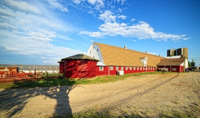 The Molodich farm