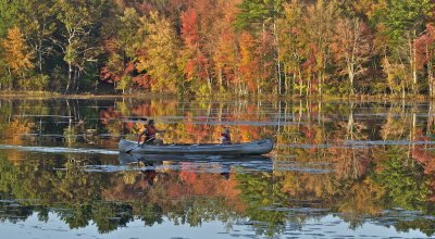 In  the late afternoon of autumn