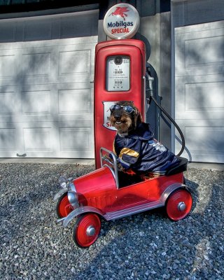 Oliver Franks first fill up with his new red  truck