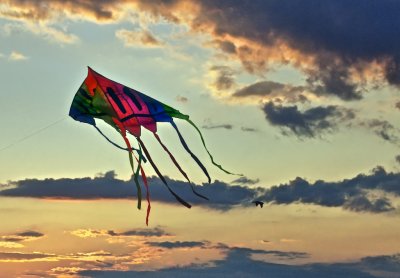 Kite flying at sunset