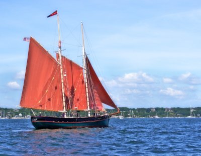 Tall ships I have the wind in my sails  Newport Ri.