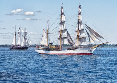 Parade of sail in Newport harbor.