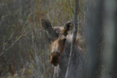 Being Watched