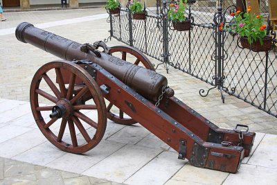 Gun