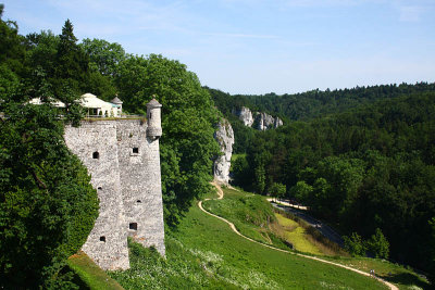 View on Castle and Ojcowski National Park
