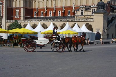 Horse Drawn Carriage at Main Square