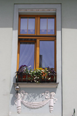 Window