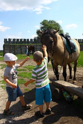 Children - their first contact with a horse